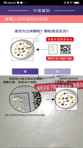 中准鉴别官方0