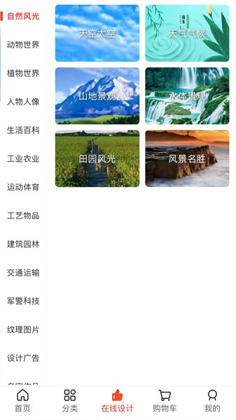 图王网app24