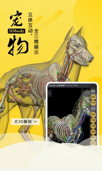 3dbody宠物解剖app免费版(3DBody解剖)24