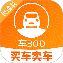 车300极速版专业版