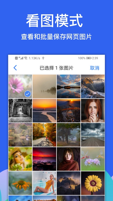 alook浏览器官方app24