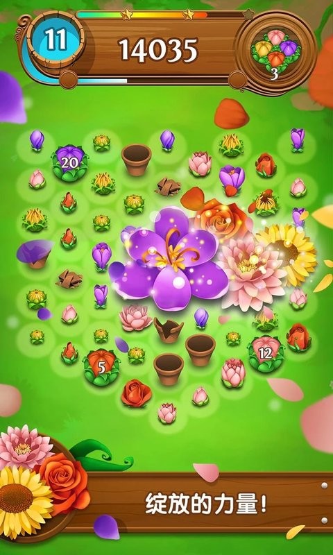 绽放花朵传奇最新版2023(Blossom Blast Saga)24