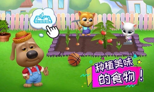 mytalkingtomfriends游戏(汤姆猫总动员)0