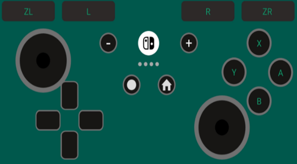 Switch手柄Pro软件24