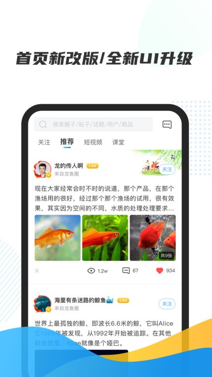 龙巅观赏鱼app