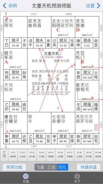 文墨天机紫微斗数预测师app24