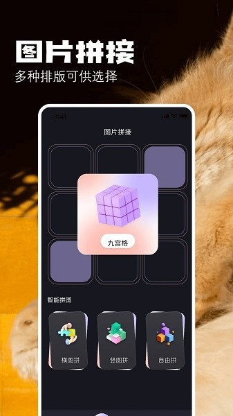 布偶相机app0