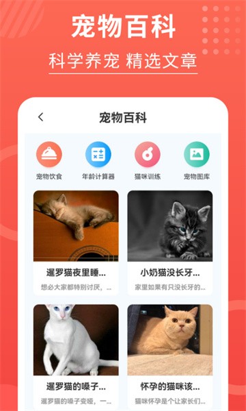 猫猫翻译器最新版24