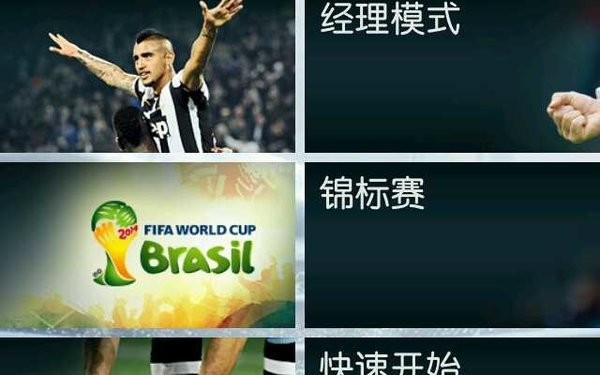 fifa14游戏24