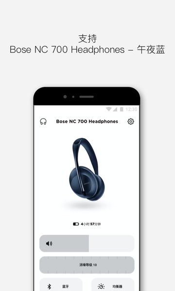 bose music app24