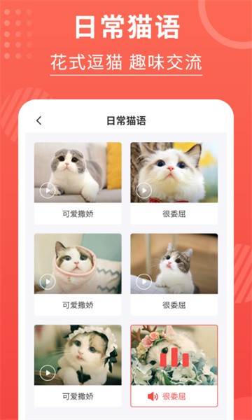 猫猫翻译器最新版24