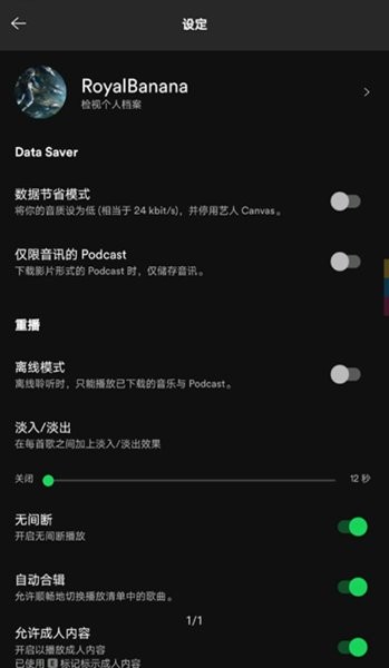 声破天spotify24