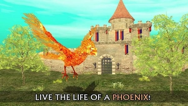 凤凰模拟器最新版(Phoenix Sim)24