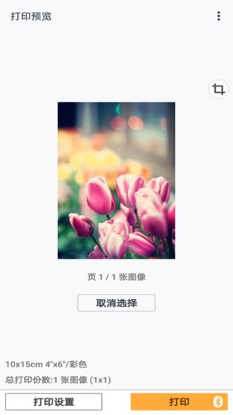 canonprintinkjetselphy佳能打印app24