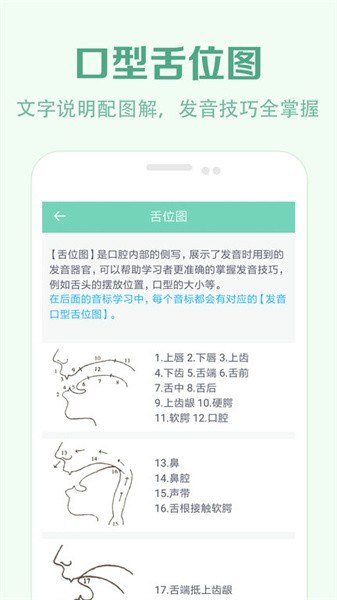 学音标软件24