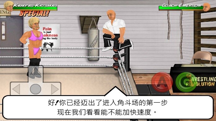 摔跤革命2d汉化版(Wrestling Revolution)0