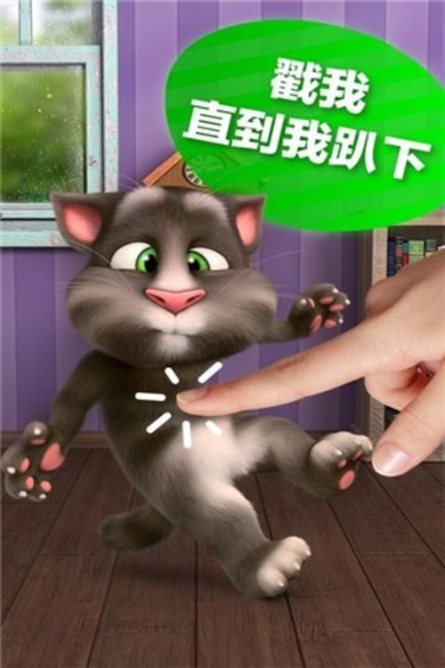 会说话的汤姆猫2游戏24